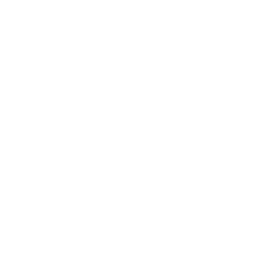 100 + Projects <br/> Completed